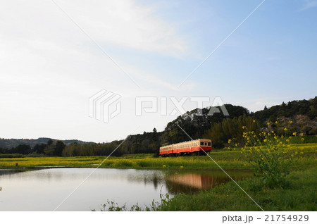千葉県　小湊鉄道　石神の菜の花畑 21754929