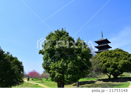 備中国分寺 21755148