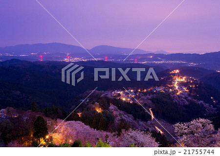夜明けの花矢倉展望台からの吉野桜 21755744
