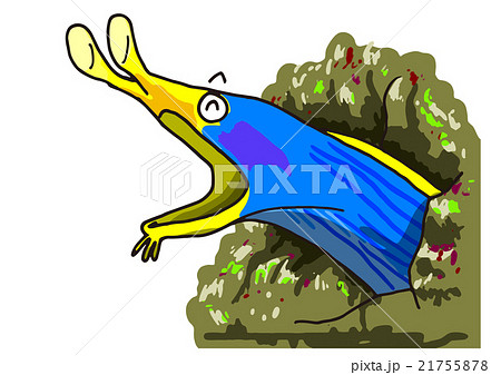 ハナヒゲウツボのイラスト  21755878