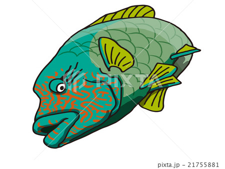 メガネモチノウオのイラスト 21755881
