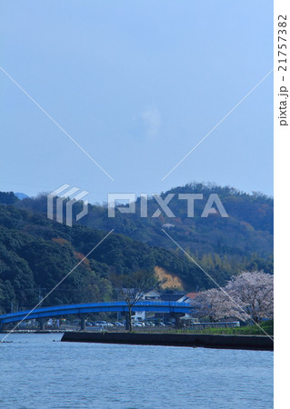 湖山池公園の桜 湖山池公園の桜 21757382