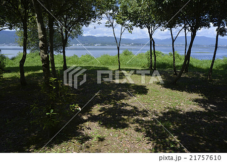 琵琶湖湖畔 21757610