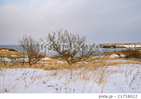 寂寥（ノッカマップ岬の辺りから納沙布岬を臨む） 21758022