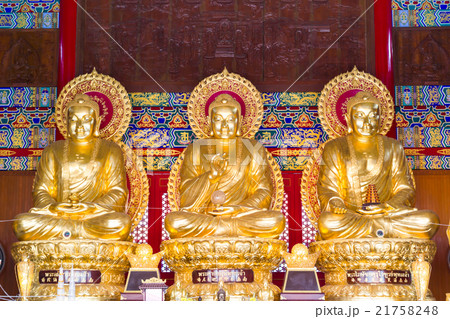 Golden Chainese Buddha at Leng Noei Yi 2 temple Golden Chainese Buddha at Leng Noei Yi 2 temple 21758248