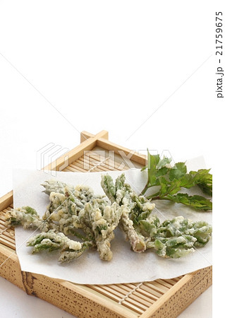 山ウドの天ぷら 山ウドの天ぷら 21759675