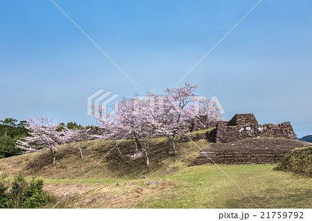 春の赤木城跡 春の赤木城跡 21759792