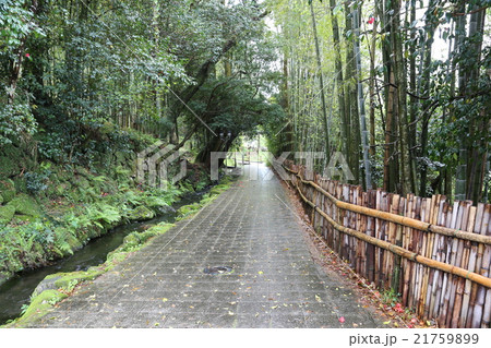 せせらぎの道 せせらぎの道 21759899