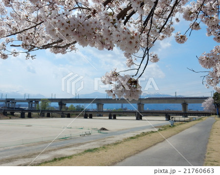 北国の春5 21760663