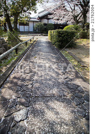 上品蓮台寺、参道に桜吹雪 上品蓮台寺、参道に桜吹雪 21762004