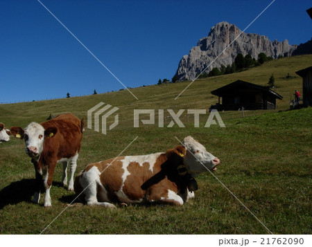 イタリア ドロミテの風景 イタリア ドロミテの風景 21762090