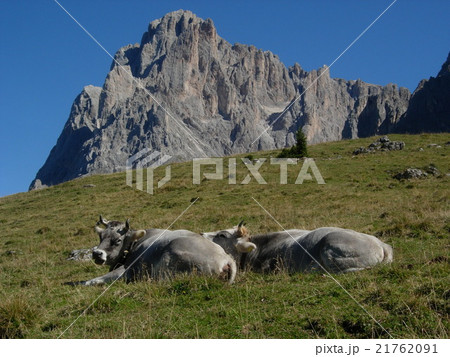 イタリア　ドロミテの風景 21762091