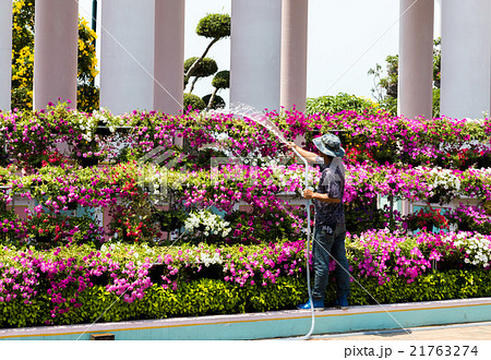 Man watering the garden with hose Man watering the garden with hose 21763274