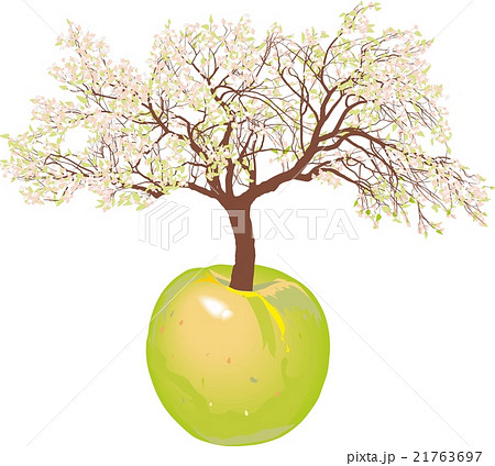 Blossoming new apple tree Blossoming new apple tree 21763697