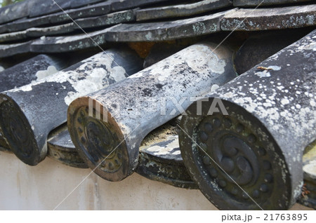 築地塀の軒丸瓦（唐招提寺／奈良県奈良市五条町13-46） 21763895