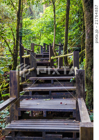 Ang Ka Nature Trail at Doi Inthanon National Park 21764887