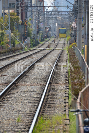 都電荒川線 21765829