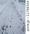 雪と足跡 21766504