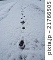 雪と足跡 21766505