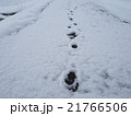 雪と足跡 21766506