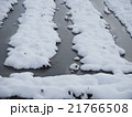 雪と田んぼ 21766508