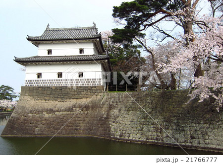 新発田城の春 21766777