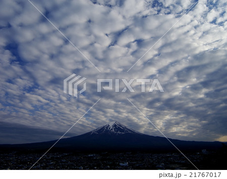 残照のうろこ雲と富士 残照のうろこ雲と富士 21767017