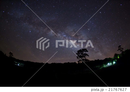 Silhouette of Tree with cloud and Milky Way 21767627