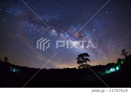 Silhouette of Tree with cloud and Milky Way 21767628