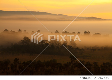 misty morning sunrise at Thung Salang Luang misty morning sunrise at Thung Salang Luang 21767649