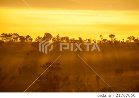 misty morning sunrise at Thung Salang Luang misty morning sunrise at Thung Salang Luang 21767650
