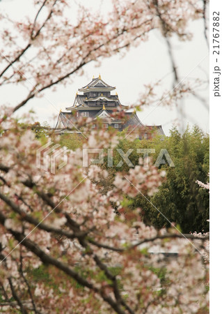 岡山城19 21767882
