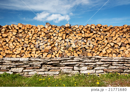 firewood outdoors at countryside 21771680