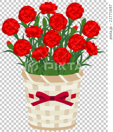 Carnation potted plant (red) 21771697
