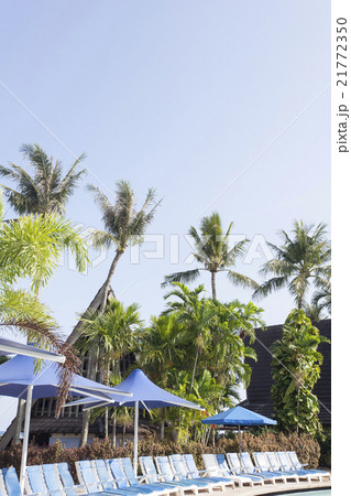 プールサイド　南国イメージ 21772350