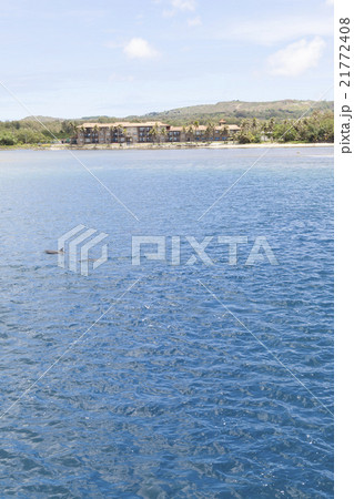 ドルフィンウォッチング 21772408