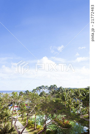 南国の風景 21772463