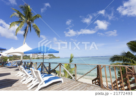 南国の風景　 21772493