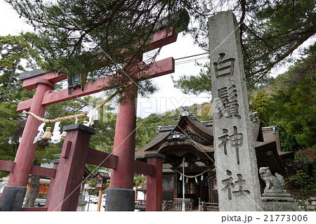 白鬚神社　鳥居と本殿 21773006