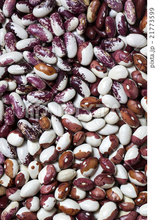 background bean seeds 21773599