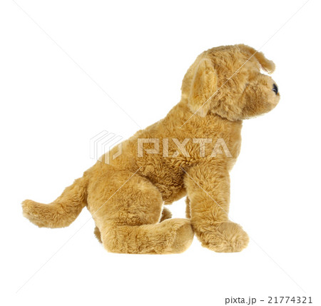 dog doll isolate on white , fluffy toys 21774321
