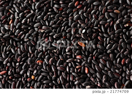 黒米 黒米 21774709