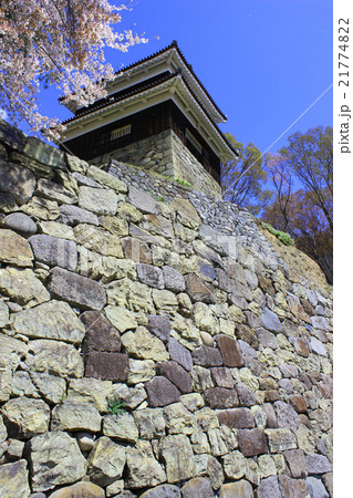 上田城の桜 21774822