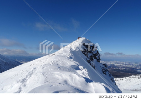 上ホロカメットクD尾根（十勝連峰）を歩く登山者 21775242