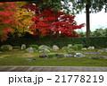 圓通寺の紅葉 21778219