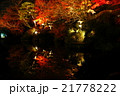 池の鏡面に移る紅葉 21778222