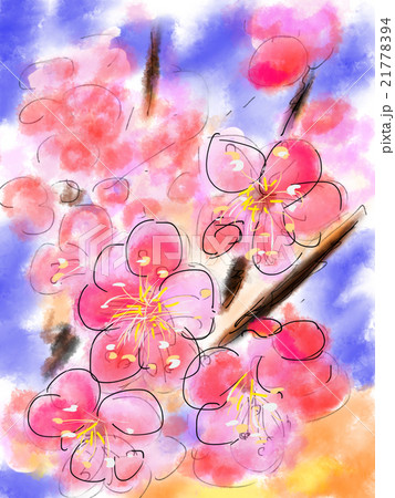 梅の花 イラストのイラスト素材