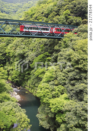 新緑の箱根登山鉄道 新緑の箱根登山鉄道 21778544
