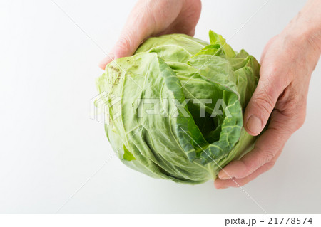 春キャベツを持つ女性 白バック 春キャベツを持つ女性 白バック 21778574