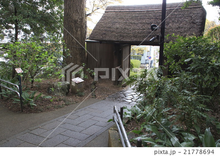 春の戸定が丘歴史公園 21778694